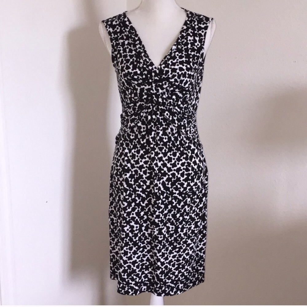 Ann Taylor dress